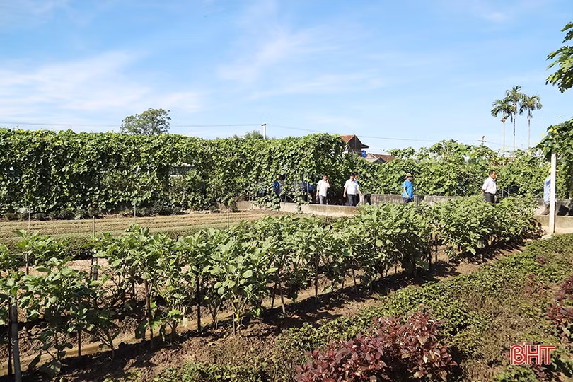 Lãnh đạo tỉnh Bôlykhămxay ấn tượng với xây dựng NTM, cải cách hành chính ở Tượng Sơn