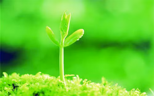 7 việc bạn nên làm để trường thọ