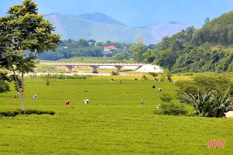 Về vùng Núi Thơm Hà Tĩnh