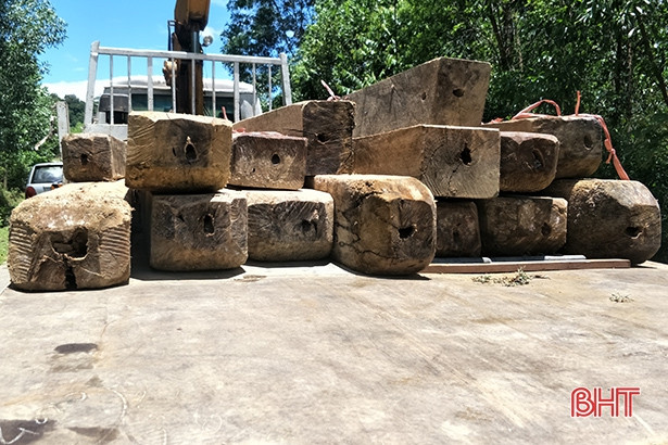 Thu giữ 15 bê gỗ tập kết trái phép trong khu dân cư ở huyện miền núi Hà Tĩnh