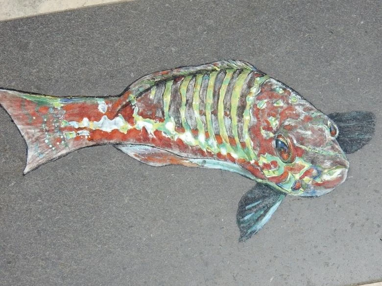 Lạc bước giữa ngôi nhà cầu vồng đẹp như cổ tích