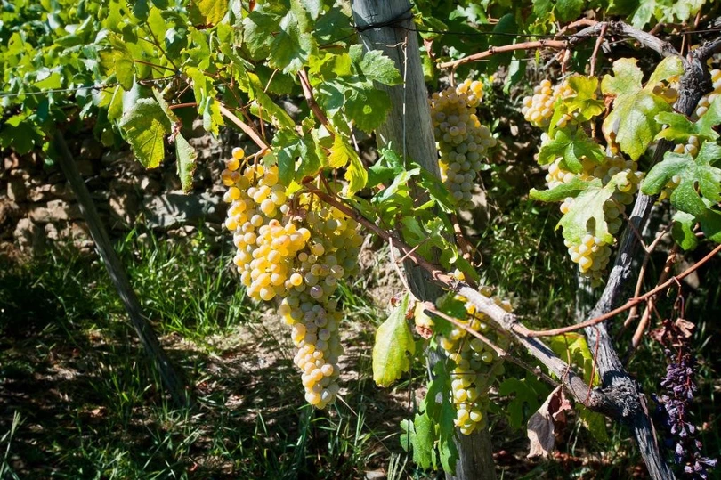 Lạc bước giữa ngôi nhà cầu vồng đẹp như cổ tích