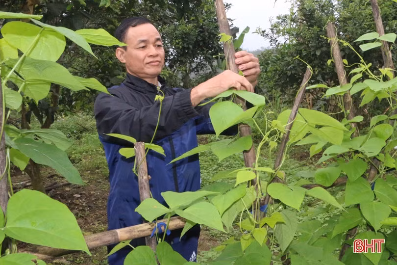 Lão nông “mê” làm vườn mẫu, tâm huyết xây dựng nông thôn mới