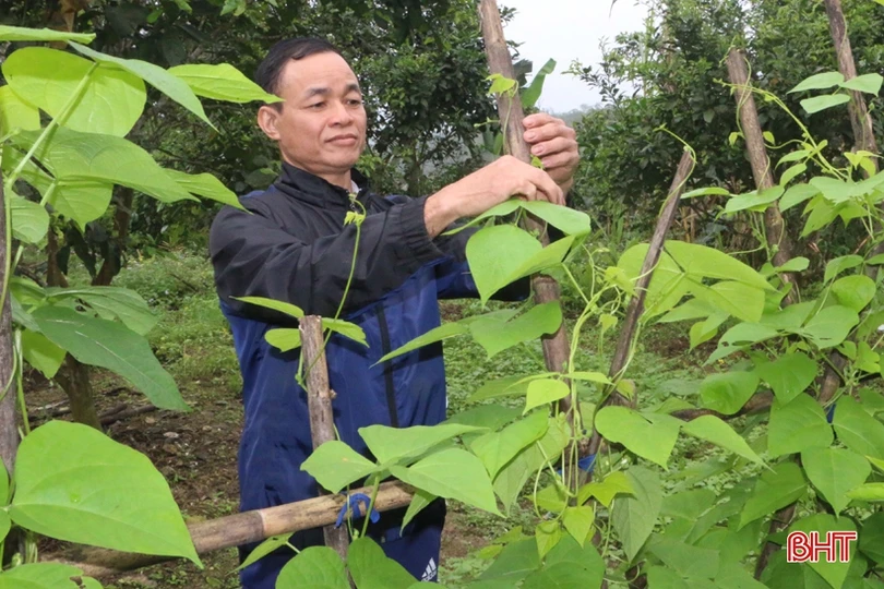 Lão nông “mê” làm vườn mẫu, tâm huyết xây dựng nông thôn mới