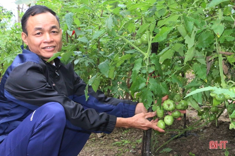 Lão nông “mê” làm vườn mẫu, tâm huyết xây dựng nông thôn mới