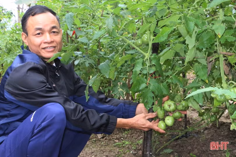 Lão nông “mê” làm vườn mẫu, tâm huyết xây dựng nông thôn mới