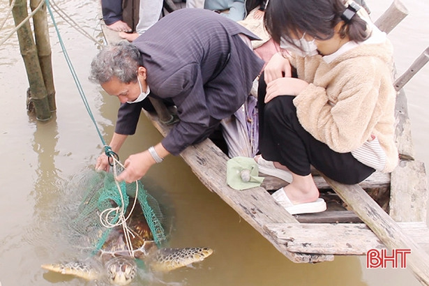 Ngư dân Nghi Xuân tự nguyện giao nộp cá thể rùa nặng 50 kg để thả về môi trường tự nhiên