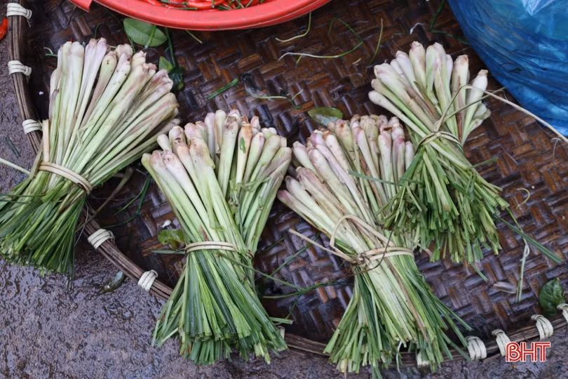 Hương liệu xông, máy khuếch tán tinh dầu hút khách mùa dịch