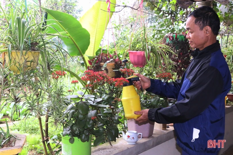 Lão nông “mê” làm vườn mẫu, tâm huyết xây dựng nông thôn mới