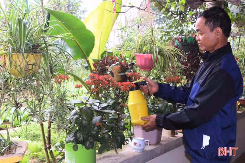 Lão nông “mê” làm vườn mẫu, tâm huyết xây dựng nông thôn mới