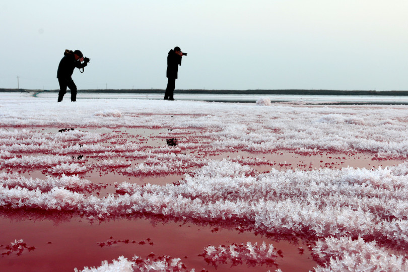 Những loài động thực vật sống ở hồ Xiechi là nguyên nhân khiến nước có nhiều màu sắc rực rỡ Bí mật ẩn giấu trong “Biển Chết” rực rỡ sắc màu