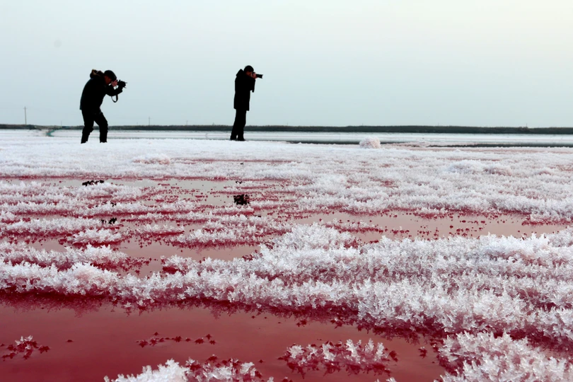 Những loài động thực vật sống ở hồ Xiechi là nguyên nhân khiến nước có nhiều màu sắc rực rỡ Bí mật ẩn giấu trong “Biển Chết” rực rỡ sắc màu