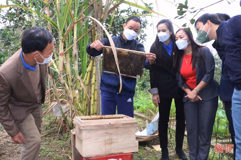 Lão nông “mê” làm vườn mẫu, tâm huyết xây dựng nông thôn mới