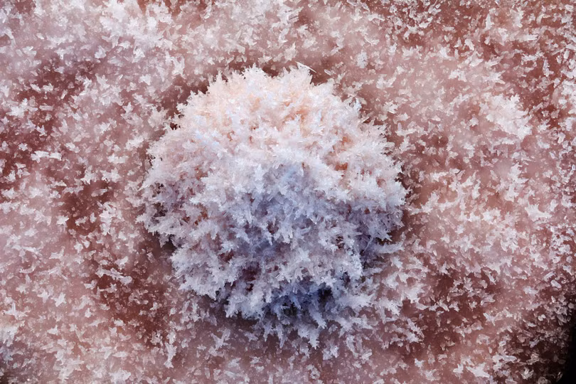 Bí mật ẩn giấu trong “Biển Chết” rực rỡ sắc màu 