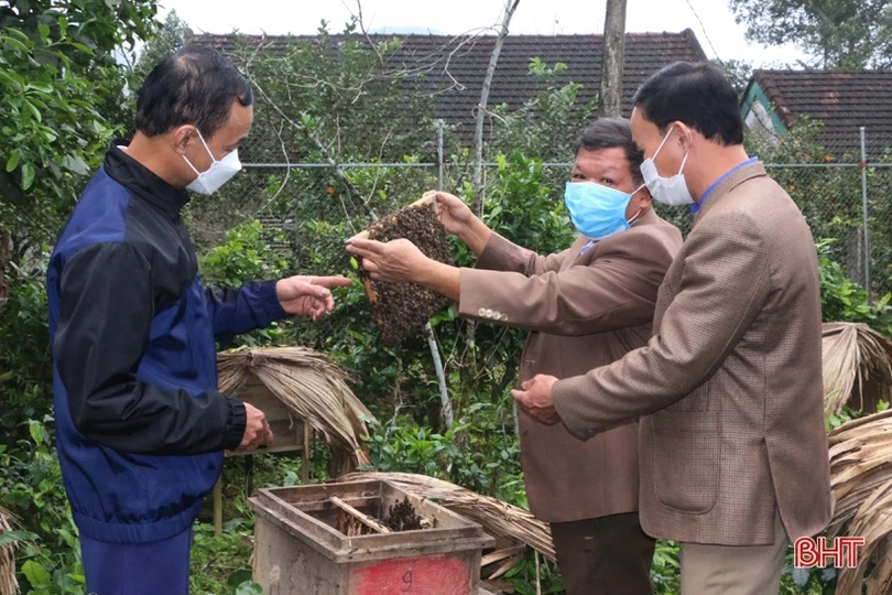 Lão nông “mê” làm vườn mẫu, tâm huyết xây dựng nông thôn mới