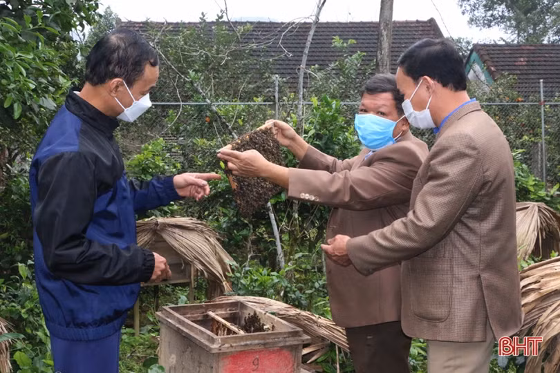 Lão nông “mê” làm vườn mẫu, tâm huyết xây dựng nông thôn mới