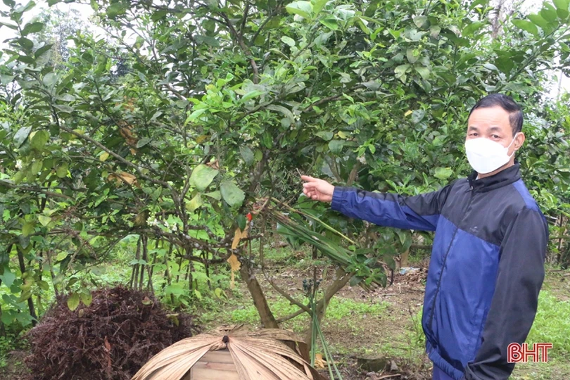 Lão nông “mê” làm vườn mẫu, tâm huyết xây dựng nông thôn mới