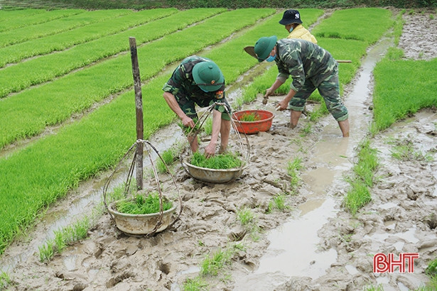 Đồng bào dân tộc Chứt xuống đồng cấy lúa vụ xuân