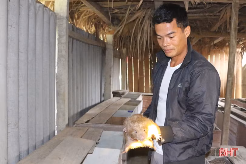 Xã biên giới Hà Tĩnh có 160 mô hình kinh tế thu nhập trên 100 triệu đồng