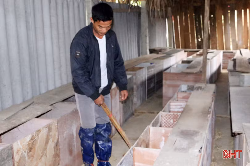 Thoát nghèo nhờ nghề nuôi dúi