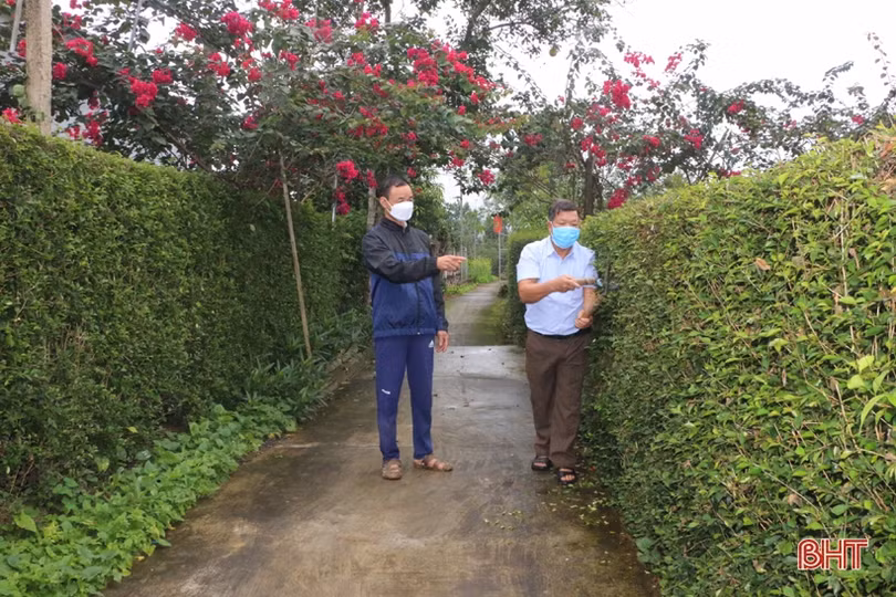 Lão nông “mê” làm vườn mẫu, tâm huyết xây dựng nông thôn mới