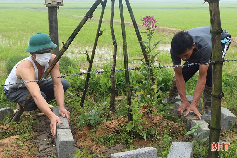 Hà Tĩnh: Nhiều địa phương ra quân xây dựng NTM, đô thị văn minh