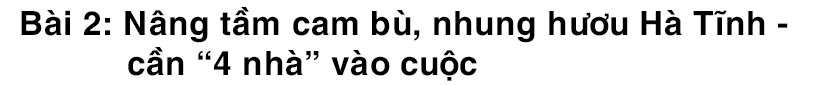 Khi cam bù, nhung hươu Hà Tĩnh vẫn quẩn quanh trên “sân nhà”! ảnh 2 Khi cam bù, nhung hươu Hà Tĩnh vẫn quẩn quanh trên “sân nhà”!