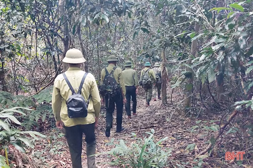 Vào cuộc quyết liệt, sẵn sàng phương án bảo vệ rừng trong đợt cao điểm