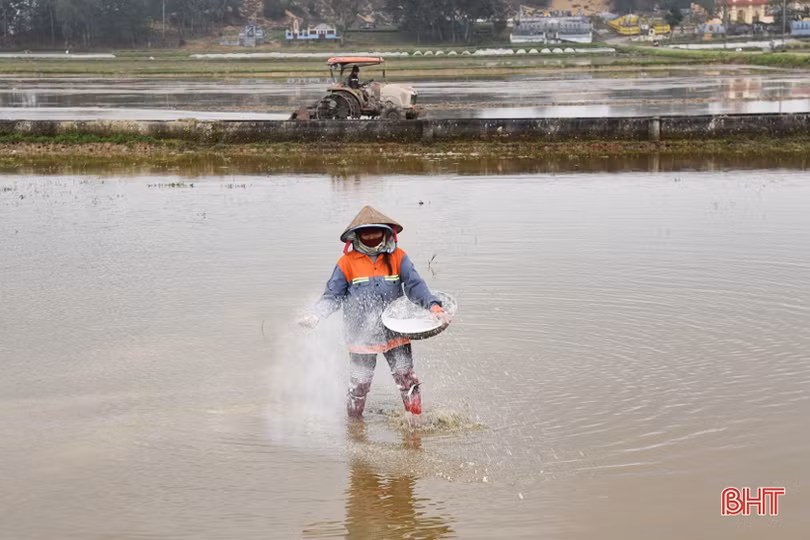 Chuyển đổi ruộng đất, Lộc Hà giảm 9.192 thửa