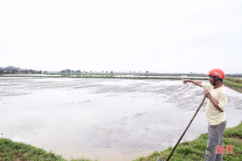 Chuyển đổi ruộng đất, Lộc Hà giảm 9.192 thửa