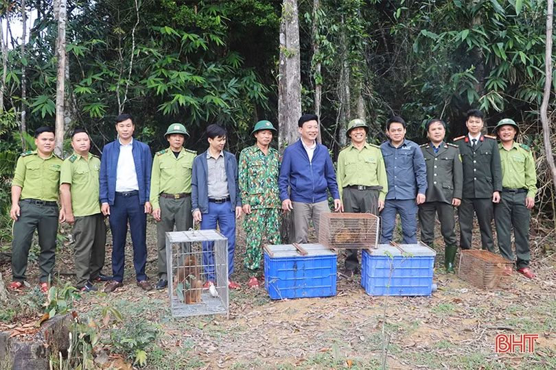 Thả 41 động vật hoang dã về môi trường tự nhiên