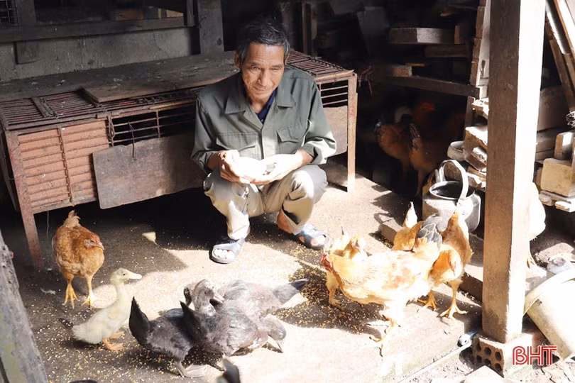 MS 2402: 4 mảnh đời bất hạnh trong ngôi nhà nhỏ ở Hương Sơn