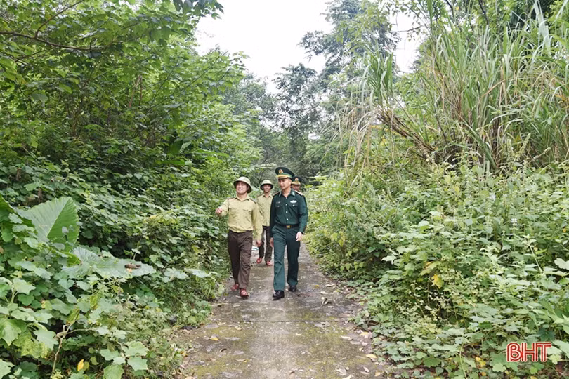 Vào cuộc quyết liệt, sẵn sàng phương án bảo vệ rừng trong đợt cao điểm
