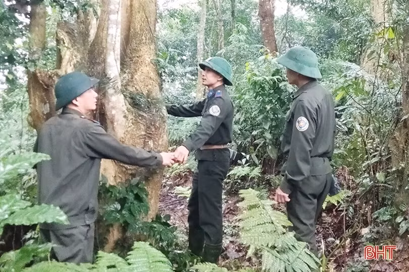 Vào cuộc quyết liệt, sẵn sàng phương án bảo vệ rừng trong đợt cao điểm