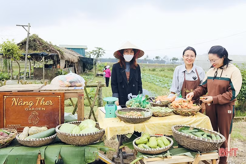 Hà Tĩnh công nhận 7 xã đạt chuẩn các loại hình nông thôn mới đợt 2/2023
