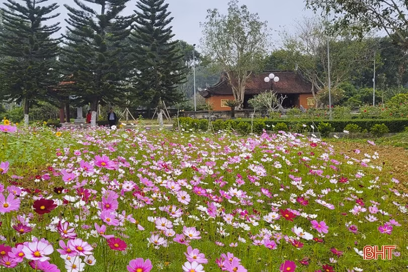 Nhiều hoạt động văn hóa mừng Đảng, mừng xuân hấp dẫn tại Hà Tĩnh