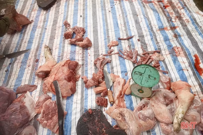 Nhiều nguy cơ mất an toàn vệ sinh thực phẩm khi giết mổ gia súc tại nhà