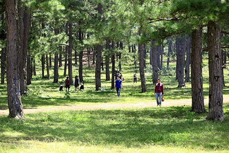 Ba điểm đón Tết dương lịch thú vị trên vùng cao ảnh 3