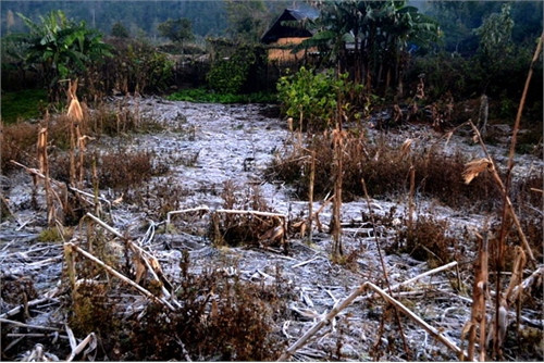 Lạnh 2,5 độ C, băng giá xuất hiện tại Ý Tý - Lào Cai ảnh 3