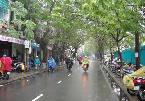 Miền Bắc tiếp tục mưa phùn, trời rét ảnh 1