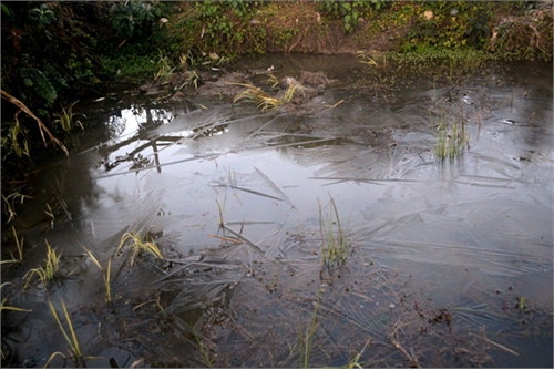 Băng đóng trên mặt nước