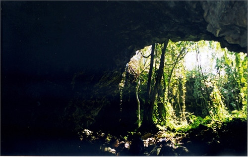 Một số cửa hang nhìn từ phía trong ra ngoài, với khung cảnh thiên nhiên núi rừng hùng vĩ.