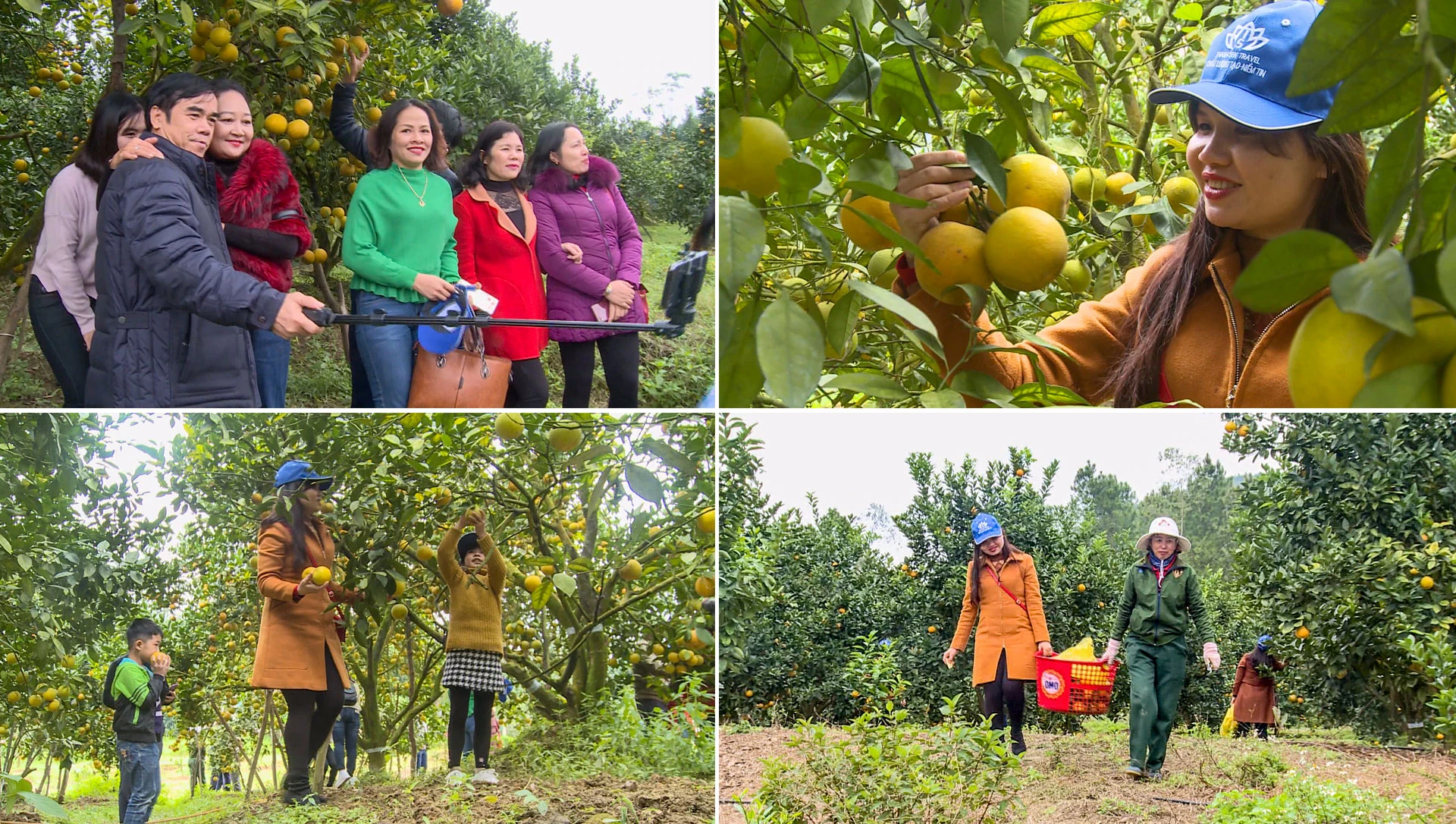 Du lịch “cất cánh”, đánh thức tiềm năng vùng đất giàu trầm tích văn hóa