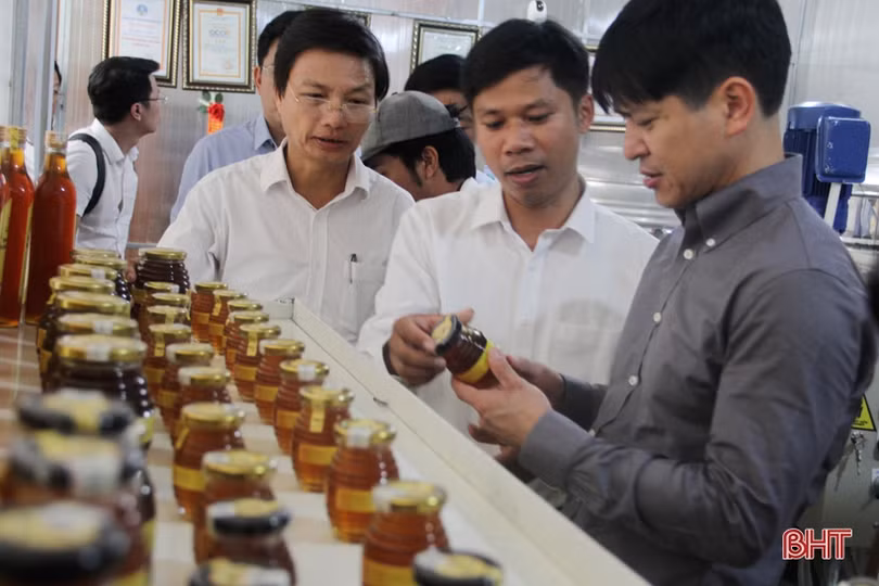 Những sản phẩm OCOP ở Hương Sơn đặc sắc, phát triển có chiều sâu