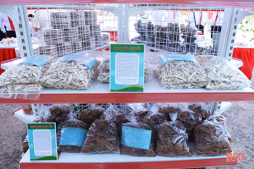 Sản phẩm OCOP, nông nghiệp tiêu biểu của Lộc Hà thu hút đại biểu bên lề đại hội