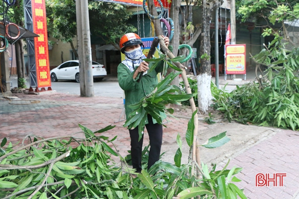 Thành phố Hà Tĩnh cắt tỉa gần 15.000 cây xanh trước mùa mưa bão