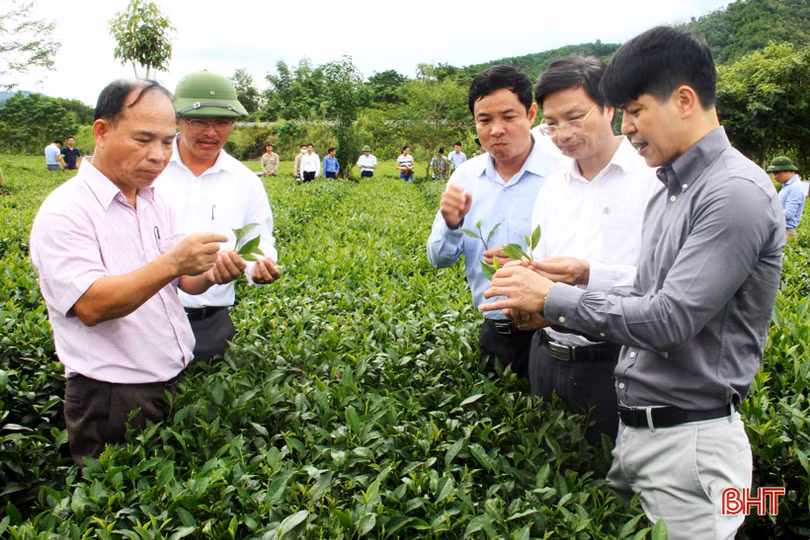 Thịt dê tươi Hương Sơn đạt chuẩn OCOP được hút chân không, đơn hàng tăng gấp đôi