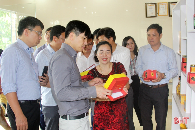 Những sản phẩm OCOP ở Hương Sơn đặc sắc, phát triển có chiều sâu