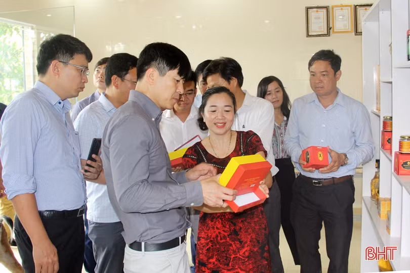 Những sản phẩm OCOP ở Hương Sơn đặc sắc, phát triển có chiều sâu