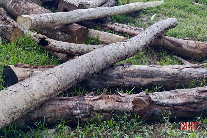 Công an Hương Sơn phát hiện một lượng gỗ vô chủ tập kết trái phép